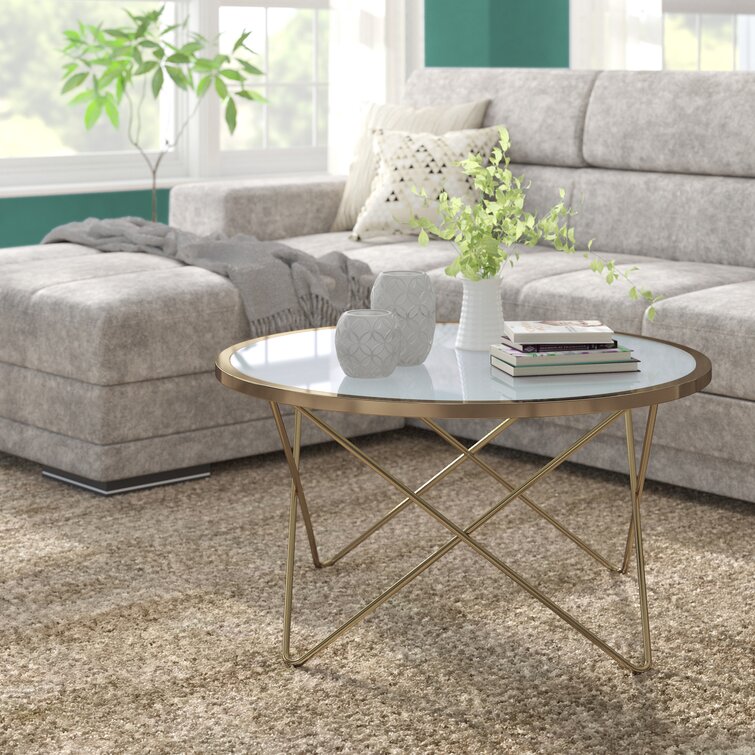 Wayfair wasser store coffee table